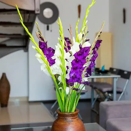 Manganowa By Renters Wrocław