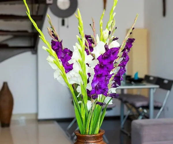 Manganowa By Renters Vratislav